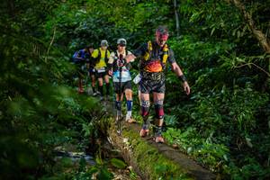 BIB: 
                            <button type="button" onclick="openModal(18922809)" class="btn btn-primary btn-sm float-right btn-popup" data-toggle="modal" data-target=".modal-high-quality">
                        <i class="fas fa-shopping-cart"></i> Add to Cart
                    </button>
                                            <button type="button" onclick="isThisMe(18922809, true)" class="btn btn-success btn-sm float-right btn-popup btn-isme hidden" data-toggle="tooltip" data-placement="bottom" title="นี่คือรูปของคุณใช่ไหม คลิกที่นี่เพื่อเอาเข้าอัลบั้ม">
                        <i class="fas fa-plus"></i> Add to album
                    </button>
                    <button type="button" onclick="isThisMe(18922809, false)" class="btn btn-warning btn-sm float-right btn-popup btn-isnotme hidden">
                        <i class="fas fa-ban"></i> Remove from album
                    </button>